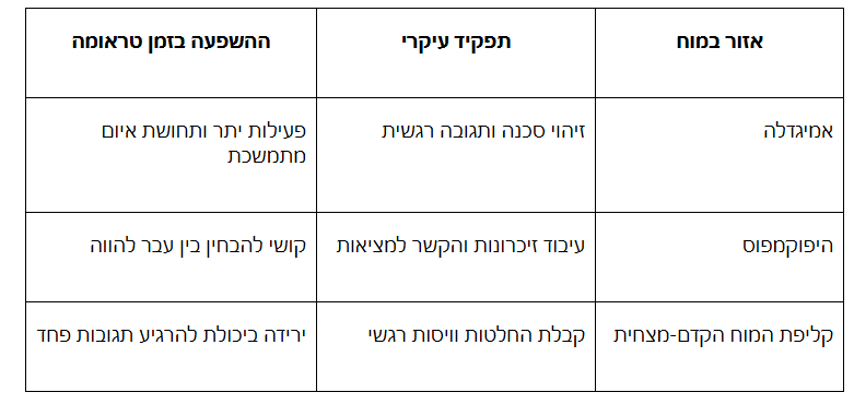 ריפוי מטראומה